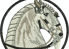 Pferd 2